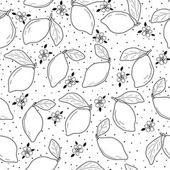 Poster - Hand drawn vector monochrome seamless pattern with lemon, leaves and flower in sketch style.