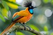 colorful bird with vivid plumage perched gracefully on a tree branch, showcasing its natural beauty and elegance in its surroundings