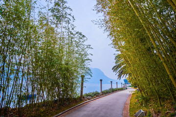 Wall Mural - The promenade along Lugano Lake, Park Villa Heleneum, Lugano, Switzerland