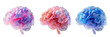 Three colorful brain models with an artistic, translucent appearance in pink, coral, and blue shades.