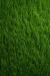 Detailed close up of a vibrant green grass field. Perfect for nature backgrounds