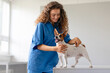 Curly-haired vet examining happy Jack Russell Terrier