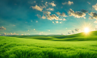 Wall Mural - wide lawn trimmed with precision under a blue sunny sky