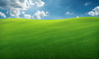 Wall Mural - wide lawn trimmed with precision under a blue sunny sky