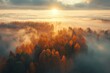 Aerial view of beautiful colorful autumn forest in low clouds at sunrise