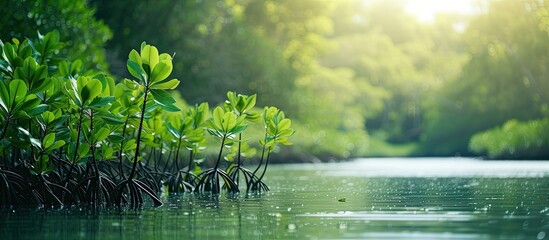 Sticker - This photo showcases a peaceful body of water enveloped by lush trees and grass, providing an idyllic natural setting.