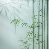 Fototapeta Sypialnia - Very foggy white glass, behind the glass there is bamboo, leaves are visible that touch the glass.