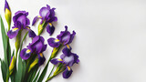 Fototapeta  - Tapeta fioletowe kwiaty irysy. Puste miejsce na tekst