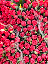 Set Of Bouquets Of Red Tulips In A Street Flowers Stall