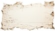 Diverse Collection of Ripped Torn Paper Pieces on Clean White Background