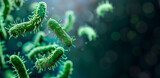 Fototapeta  - close up of green gut flora