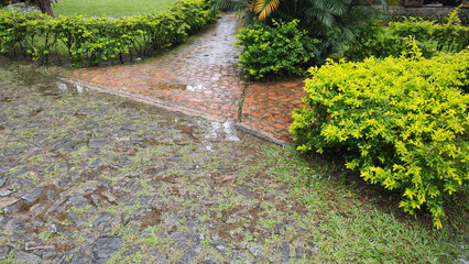 Wall Mural - cloudy cloud rain water stone rock vegetable flower leaf plant grass texture puddle path trail ladder walk garden sconce bush bush forest tree valley mountain hill forest nature ivy trash can landscap