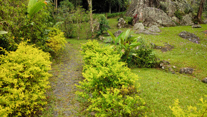 Wall Mural - cloudy cloud rain water stone rock vegetable flower leaf plant grass texture puddle path trail ladder walk garden sconce bush bush forest tree valley mountain hill forest nature ivy trash can landscap