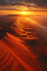 Wall Mural - rippling sand dunes bask in sunrise, contrasting shadows and light in desert