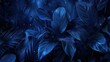 © Ibad - Collection of tropical leaves,foliage plant in blue color with copy space background, wallpaper