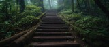 Fototapeta Las - A set of wooden stairs that lead deep into a mystical forest, providing a serene journey amidst the enigmatic surroundings.