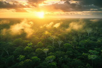 Wall Mural - Amazon Aerial Symphony: A Mesmerizing Sunset Over the Vast Amazon Rainforest, Unveiling the Rich Biodiversity of Brazil, Peru, Colombia, and Other Amazonia Countries