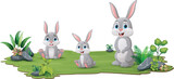 Fototapeta Dinusie - Cute three rabbits cartoon in the jungle