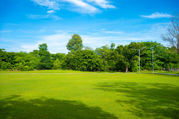 Green meadow grass field in city forest park sunny day blue sky with cloud