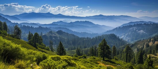 Wall Mural - Majestic mountain range landscape with serene trees and distant peaks