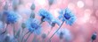 © TheWaterMeloonProjec - A vibrant display of electric blue flowers contrast beautifully against a soft pink background, creating a striking piece of floral art