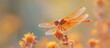 An arthropod, the dragonfly, perches on a flowers petal with its glistening amber wings. This insect acts as a valuable pollinator for the plant