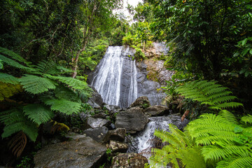 Spectacular and popular roadside La Coca Falls in El Yunque Rainforest on the island of Puerto Rico, the only tropical rain forest in the United States National Forest System.