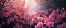 A Vibrant Landscape Filled With Pink Flowers, Their Petals Creating A Magenta Reef Beneath The Trees. The Sun Shines Through The Branches, Casting A Beautiful Art On The Grass Below