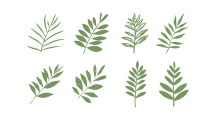 Wall Mural - vector collection of illustrations of tropical foliage leaves