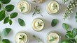 Natural Skincare Creams with Herbal Accents. Flat lay of open jars of skincare cream surrounded by fresh green leaves and white stones, set on a marble surface