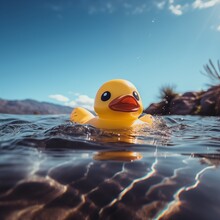 Yellow Duck On Water