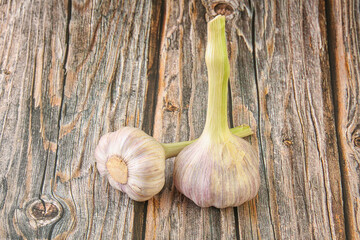 Two Young garlic over background