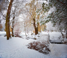 Wall Mural - Calm winter view of wooden bridge on Seret river in Topilche park, Ternopil town, Ukraine,. Cold winter scene of city park with trees covered by fresh snow. Beauty of nature concept background..