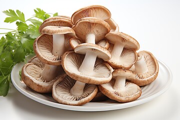 Wall Mural - close up a Portobello mushrooms isolated on white background 