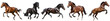 beautiful horses running collection isolated on transparent background