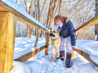 Adult girl or mature lady walking with shepherd dog, taking selfies in winter nature landscape. Middle aged woman and big shepherd dog on a wooden bridge in cold day. Friendship, love, communication