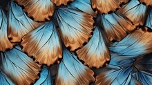 Butterfly Wings Background With Blue And Brown Textures And Details