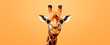 Curious giraffe's head centered against orange background, providing copy space, image conveys a sense of wonder and playfulness, perfect for engaging viewers in wildlife or conservation topics