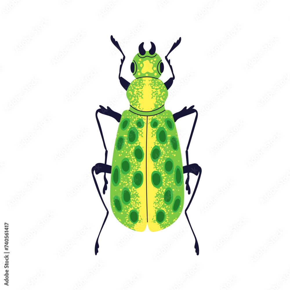 Green beetle. Spotted bright bug icon, top view. Small fauna species ...