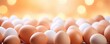 BIO fresh chicken eggs on green farm, food protein healthy food banner. Generative Ai.