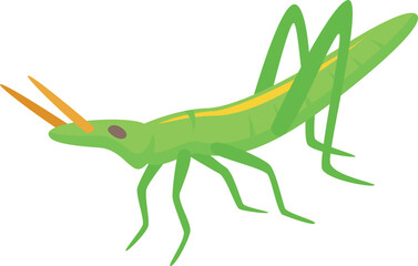 Wall Mural - Grasshopper icon isometric vector. Nature insect. Smile leg locust