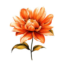 Orange Lush Flower, Plant. Graphic Drawing. Artificial Intelligence Generator, AI, Neural Network Image. Background For The Design.