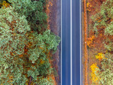 Fototapeta Na ścianę - Aerial view landscape. An empty road seen from above. Street, forest, nature. Straight road, trees.