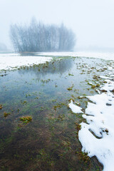 Wall Mural - View of a meadow with melting snow and trees in the fog