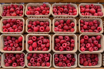 Wall Mural - Many eco cardboard boxes with fresh organic raspberries at the grocery store. Top view.