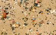 lot of colorful stones and corals in a fine sand at the beach
