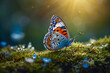 Macro image of a colorful butterfly sitting on a moss-covered log in the forest.