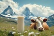Cow and a glass of milk, with majestic mountain scenery in the background.