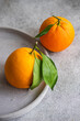 © ADDICTIVE STOCK - Close-up of two ripe oranges with stems and a green leaf on a textured grey plate, with a soft-focus background