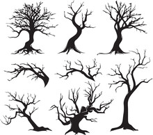 Set Trees. Hand Drawn Vector Illustration	